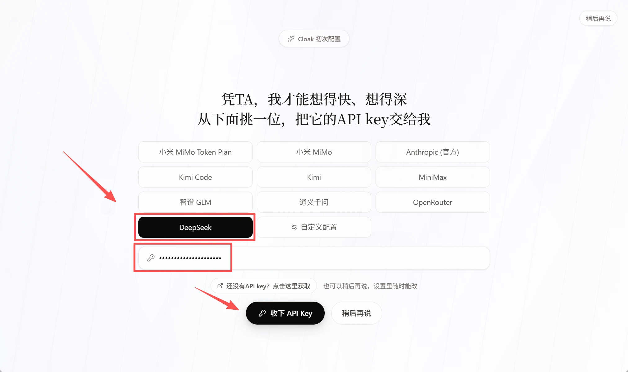 CLOAK 新手引导中的 DeepSeek 选项和 API Key 输入框